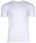 T-Shirt Lacoste - zdjęcie 3