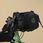 Torba rowerowa Hoja Handlebar Rolltop Fjallraven Czarna - zdjęcie 6