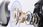 Słuchawki Qcy Crossky Clip T33 Biały T33Biały (T33WHITE) - zdjęcie 3