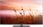 Telewizor Telewizor LED Panasonic TV-55W83AE6 55 cali 4K UHD - zdjęcie 6