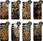 Etui Do Samsung Galaxy S25 Azteckie Aztec Aztecy Obudowa Pokrowiec - zdjęcie 5