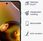 Kwmobile 3X Folia Ochronna Na Ekran Dla Zte Moto G60S - zdjęcie 4