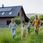 Kolektor słoneczny Hybrydowy inwerter solarny Off-Grid Qoltec Power Factor 1.0 48V 6200W 120A 500V - zdjęcie 6