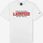 T-shirt męski okrągły dekolt Champion rozmiar XXL, jakość premium! - zdjęcie 2