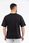 T-shirt Champion czarny, jakość premium, rozmiar L, oryginał, wysyłka w 24h - zdjęcie 2
