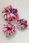 Vintiss Scrunchie Maxi Gumka Do Włosów Kwiatowy Wzór – Hibiscus - zdjęcie 2