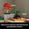 LEGO Botanicals 10348 Klon palmowy bonsai - zdjęcie 2