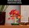 LEGO Botanicals 10348 Klon palmowy bonsai - zdjęcie 9