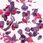 Semilac Suszone Kwiaty Do Zdobienia Paznokci Flower Flakes Wild Orchid - zdjęcie 3