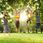 Hyper Motion Tor Przeszkód Ninja Dla Dzieci Zestaw Slackline Hypermotion 7 - zdjęcie 5