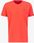 Basic Small Logo T-Shirt 188505 - zdjęcie 5