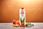 Preparat medycyny naturalnej Forever Living Products Aloe Bits n'Peaches Miąższ Aloe Vera z sokiem z brzoskwiń 1L - zdjęcie 2