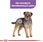 Karma dla psa Royal Canin Mini Adult Sterilised 8kg - zdjęcie 8