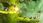 Gra na Xbox Rayman Legends (Gra Xbox 360) - zdjęcie 19