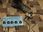 TC Electronic  Ditto Looper - zdjęcie 2