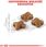 Karma dla kota Royal Canin Kitten 2x10kg - zdjęcie 6