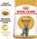 Karma dla kota Royal Canin British Shorthair 2x10kg - zdjęcie 5