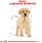 Karma dla psa Royal Canin Labrador Retriever Puppy 2x12kg - zdjęcie 2