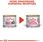 Karma dla kota Royal Canin Babycat Instinctive 6x195g - zdjęcie 2