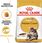 Karma dla kota Royal Canin Maine Coon 2kg - zdjęcie 8
