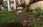 World of Warcraft - Karta pre-paid (60 dni) - zdjęcie 2