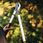 Fiskars Sekator Nożycowy L86 SmartFit 1013564 - zdjęcie 5
