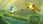 Gra na Xbox One Rayman Legends (Gra Xbox One) - zdjęcie 11