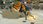 Naruto Shippuden Ultimate Ninja STORM Revolution (Digital) - zdjęcie 9
