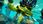 Gra na Xbox Fantasia Music Evolved (Gra Xbox 360) - zdjęcie 3