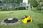 Pompa ogrodowa Karcher BP 4 Home&Garden Eco!ogic 1.645-354.0 - zdjęcie 4