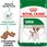 Karma dla psa Royal Canin Mini Adult 2kg - zdjęcie 2