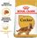 Karma dla psa Royal Canin Cocker Adult 12kg - zdjęcie 3