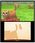 Gra Nintendo 3DS Nintendogs + Cats - French Bull New Friends (Nintendo Selects) (Gra 3DS) - zdjęcie 3