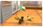 Gra Nintendo 3DS Nintendogs + Cats - French Bull New Friends (Nintendo Selects) (Gra 3DS) - zdjęcie 2