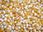 Popcorn Ziarno 1000G - zdjęcie 2