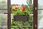 Lamela Begonia Rattan 190x560 195 grafit - zdjęcie 8