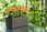 Lamela Begonia Rattan 190x560 195 grafit - zdjęcie 4