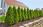 Gardena Micro-Drip-System - linia kroplująca 13 mm (1/2") do rozbudowy zestawu M i L (13131-20) - zdjęcie 5