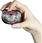 Latarka Energizer Latarka Vision Headlight Hd+ Focus  - zdjęcie 3