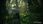 Gra PS4 Tom Clancy's Ghost Recon Wildlands (Gra PS4) - zdjęcie 6