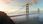 Watch Dogs 2 Gold Edition (Digital) - zdjęcie 2