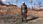 Fallout 4 (Xbox One Key) - zdjęcie 8