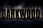 Darkwood (Digital) - zdjęcie 1
