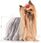 Karma dla psa Royal Canin Yorkshire Terrier Adult 85G - zdjęcie 8