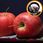 Wyciskarka do owocow i warzyw Kalorik FE3000 - zdjęcie 2