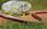 Gardena Wąż ogrodowy Comfort Flex 1", 25 m (18057-22) - zdjęcie 2