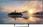 Telewizor Telewizor LED Sony Bravia KD-55XE7096B 55 cali 4K UHD - zdjęcie 1