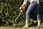 Stihl HSA 56(z AK 10+AL 101) 886661251858 - zdjęcie 3