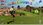 Gra PS4 Everybody's Golf (Gra PS4) - zdjęcie 2