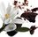 Yves Saint Laurent Y Woda Toaletowa 60 ml - zdjęcie 5